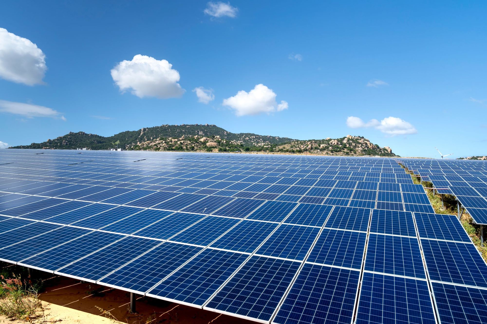 Rows of solar panels in a green field under a bright blue sky